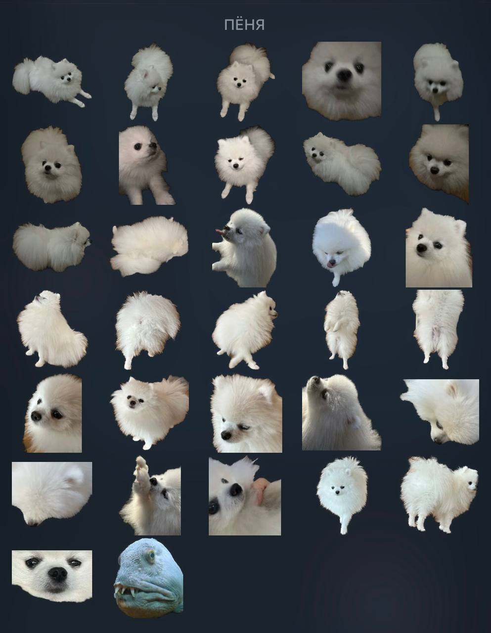 Actual Pyonya sticker pack screenshot circulated by the community