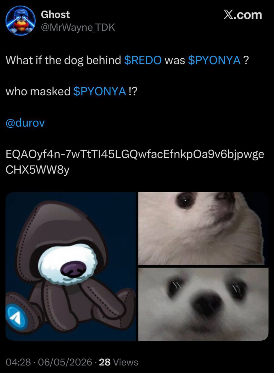 Community theory connecting $PYONYA to the masked dog narrative behind $REDO
